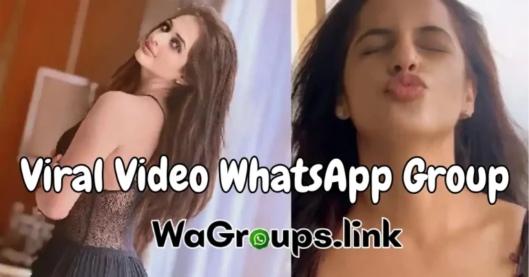 Viral Video WhatsApp Group